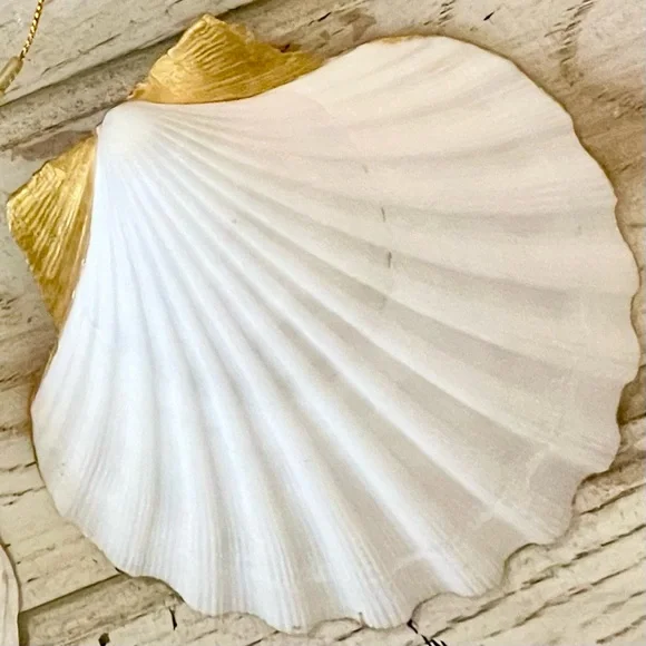 Hand Crafted Lemon Trinket Shell Dish - Picture 4 of 7